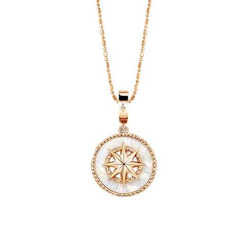 Frank & co. Love Infinity Love Compas Charm