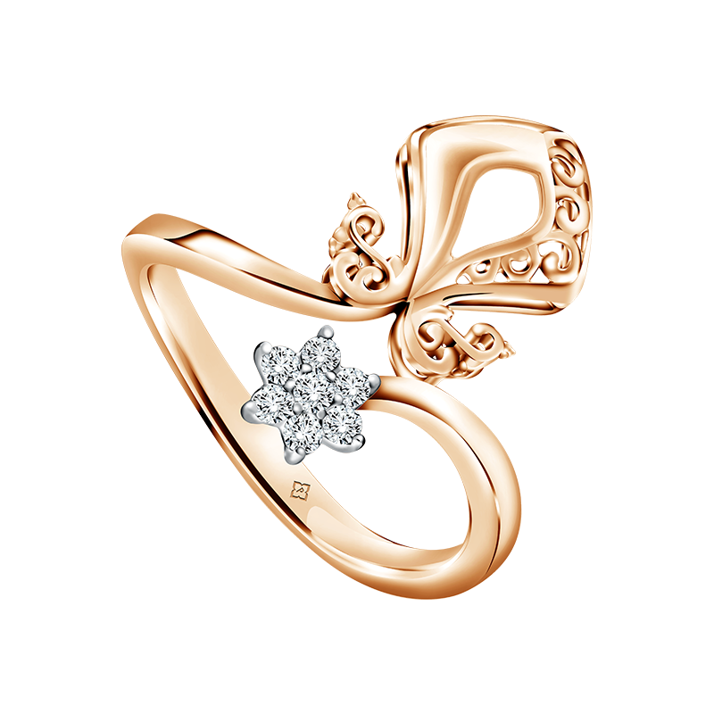 Cincin Nusantara Anta Aster