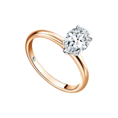 i-said-mondial-2026-golden-sleek-oureval-ladies-ri