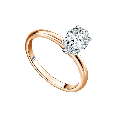 i-said-mondial-2026-golden-sleek-oureval-ladies-ri